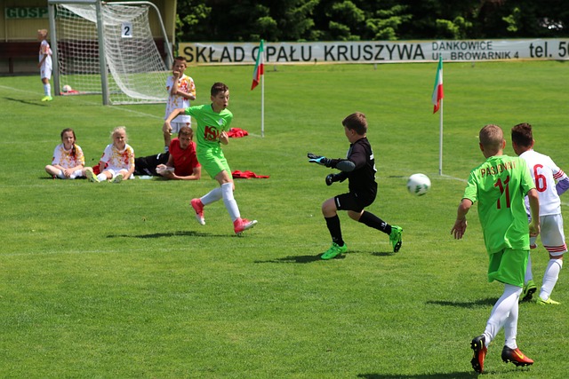 赛洞察力和 赛洞察力和