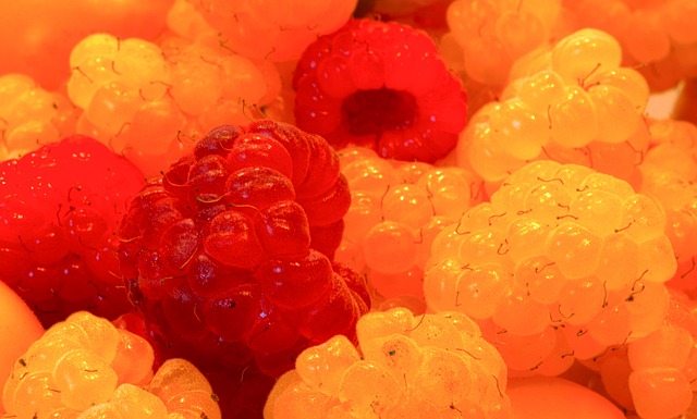 北美及加勒 北美及加勒