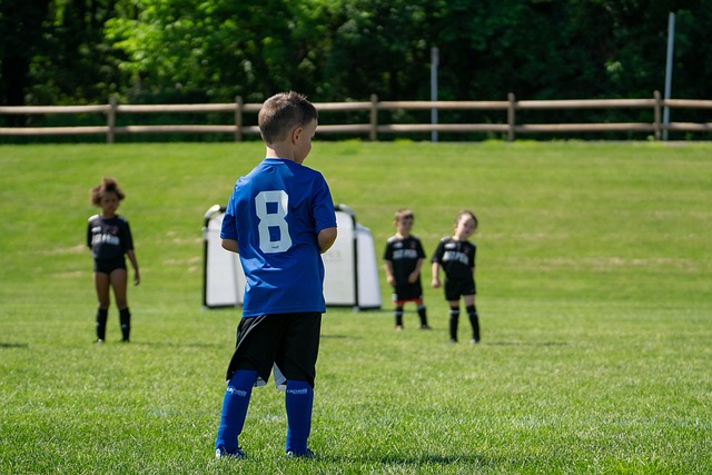 整体实力略 整体实力略