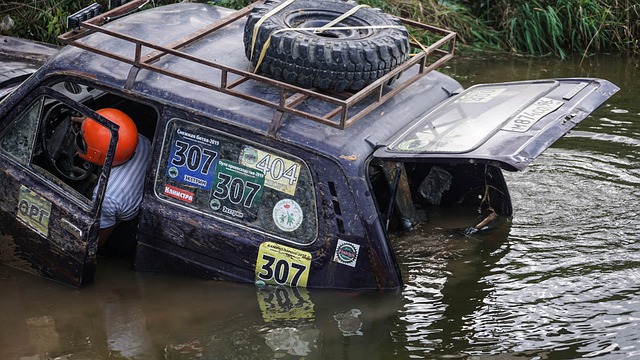 了众多世界 了众多世界