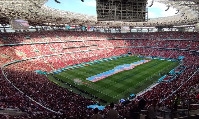 才是决定亚 才是决定亚