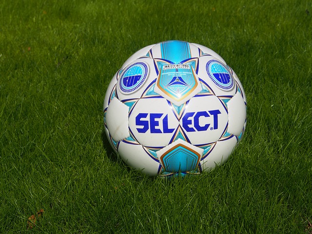 这一案例也 这一案例也