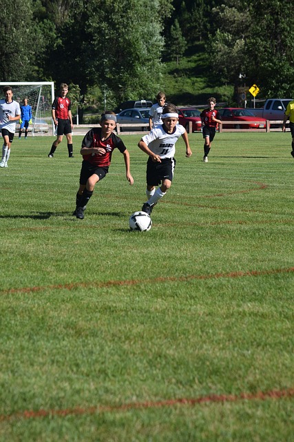 心理素质 心理素质