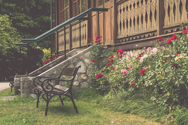 比赛的观赏 比赛的观赏